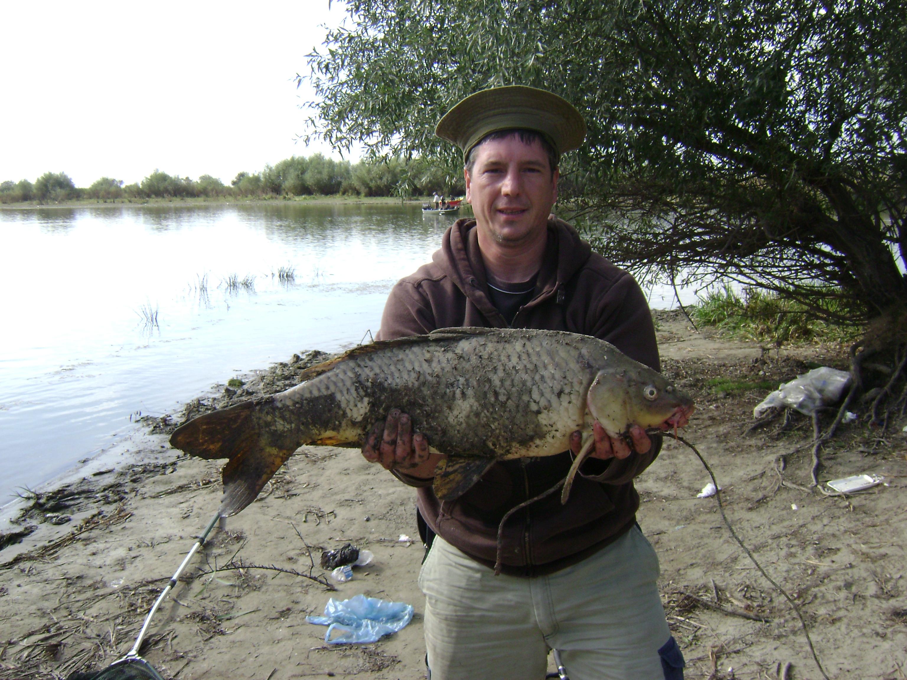 delta octombrie 2012 - delta octombrie 2012 045.JPG